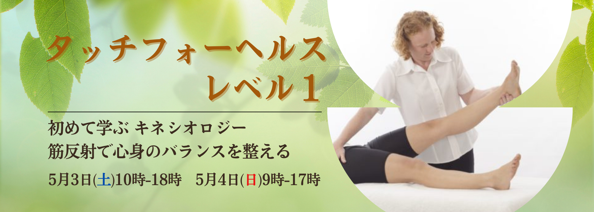 touchforhealth-kinesiology
